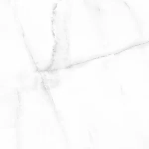پارگا