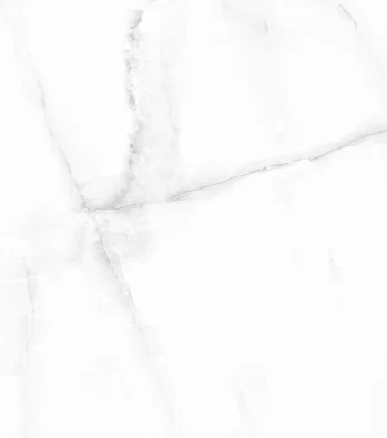 پارگا